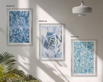 Bilder-3er-set mit rahmen Winterwald blaue Blume Wasser