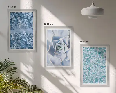 Bilder-3er-Set mit Rahmen Winterwald mit blauer Blume und Wasser