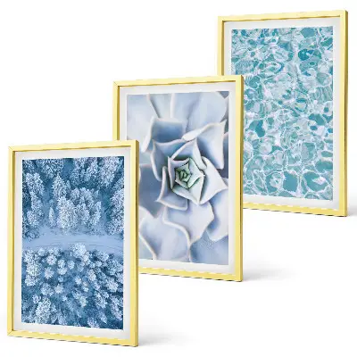 Bilder-3er-Set mit Rahmen Winterwald mit blauer Blume und Wasser