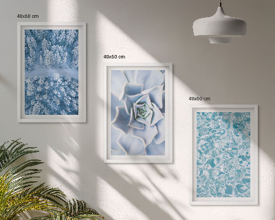 Bilder-3er-set mit rahmen Winterwald blaue Blume Wasser