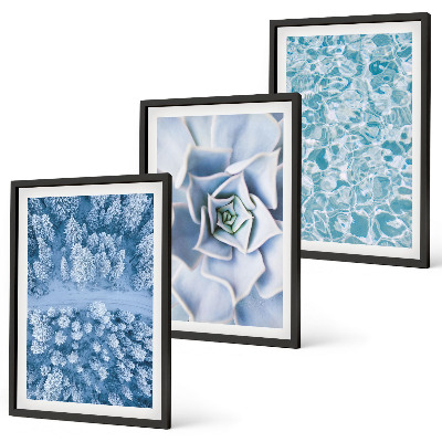 Bilder-3er-set mit rahmen Winterwald blaue Blume Wasser