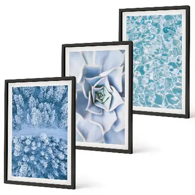 Bilder-3er-Set mit Rahmen Winterwald mit blauer Blume und Wasser