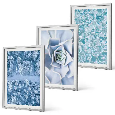 Bilder-3er-Set mit Rahmen Winterwald mit blauer Blume und Wasser