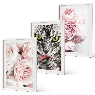 Gerahmtes bilderset Katze in rosa Blumen