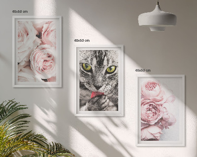 Gerahmtes bilderset Katze in rosa Blumen