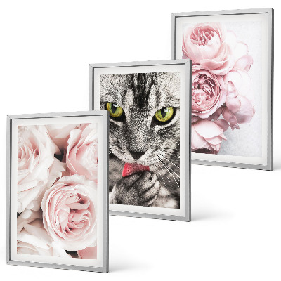 Gerahmtes bilderset Katze in rosa Blumen
