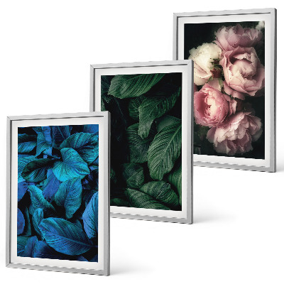 Gerahmtes bilderset Blätter, Blüten, verschiedene Farben