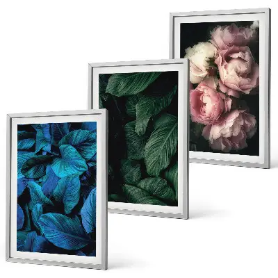 Gerahmtes Bilderset mit Blättern und Blüten in verschiedenen Farben