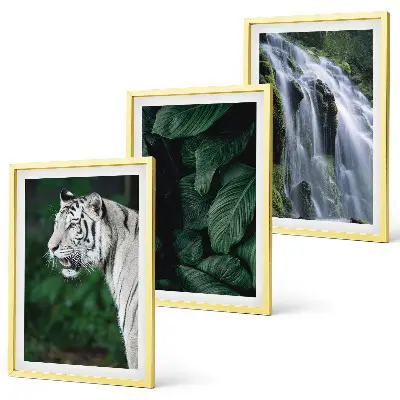 Wasserfall aus weißen Tigerblättern 3er-Set Bilder mit Rahmen