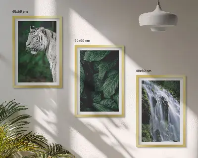 Wasserfall aus weißen Tigerblättern 3er-Set Bilder mit Rahmen