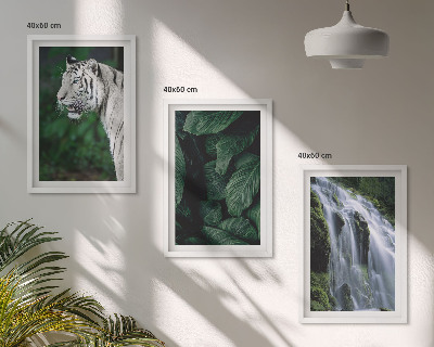 Bilder-3er-set mit rahmen Wasserfall aus weißen Tigerblättern