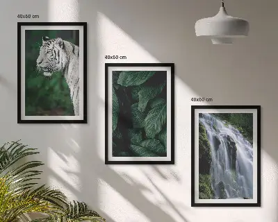 Wasserfall aus weißen Tigerblättern 3er-Set Bilder mit Rahmen