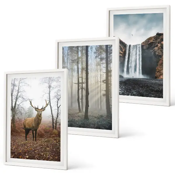 Bilder-3er-Set mit Rahmen Waldlandschaften und wilde Natur