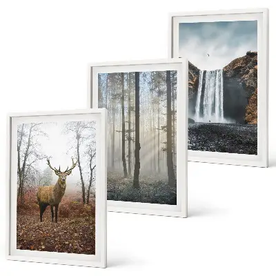 Bilder-3er-Set mit Rahmen Waldlandschaften und wilde Natur