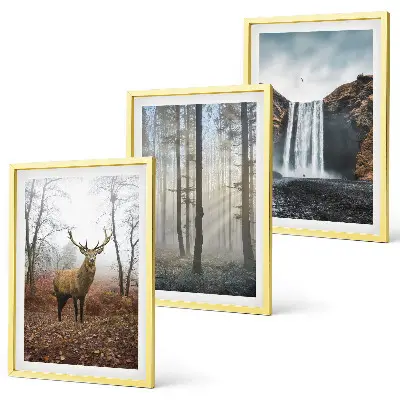 Bilder-3er-Set mit Rahmen Waldlandschaften und wilde Natur