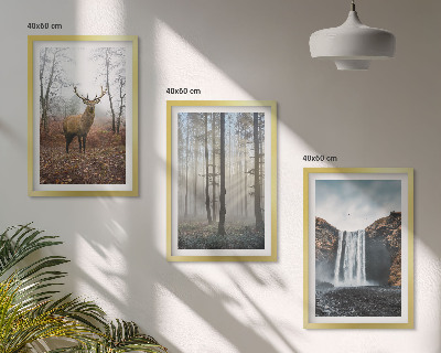 Bilder-3er-set mit rahmen Waldlandschaften, wilde Natur