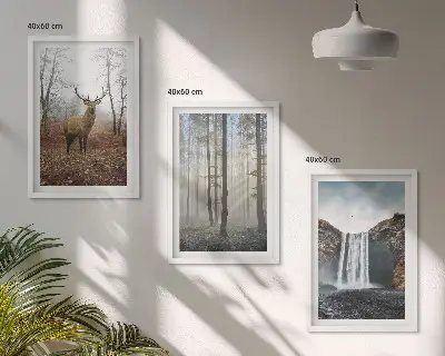Bilder-3er-Set mit Rahmen Waldlandschaften und wilde Natur