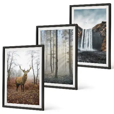Bilder-3er-Set mit Rahmen Waldlandschaften und wilde Natur