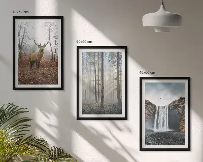 Bilder-3er-Set mit Rahmen Waldlandschaften und wilde Natur