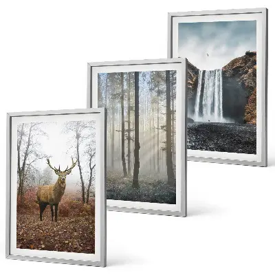 Bilder-3er-Set mit Rahmen Waldlandschaften und wilde Natur