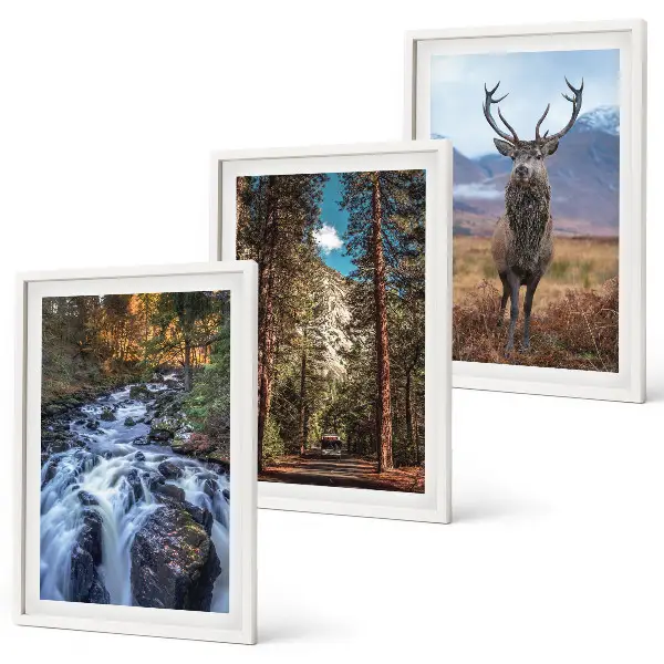 Wasserfall Wald Berge Hirsch Natur 3er-Set Wandbilder mit Rahmen