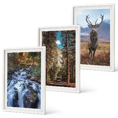 Wasserfall Wald Berge Hirsch Natur 3er-Set Wandbilder mit Rahmen