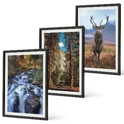 Wasserfall Wald Berge Hirsch Natur 3er-Set Wandbilder mit Rahmen