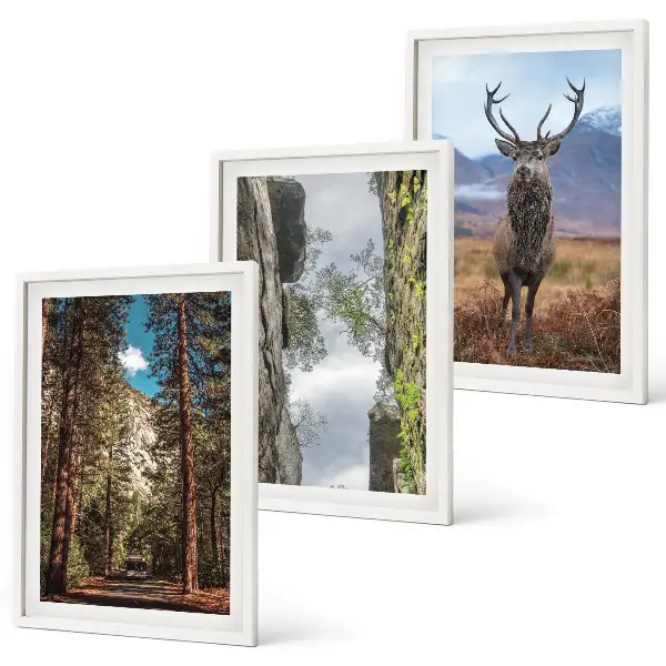 Gerahmtes Bilderset mit Straßen, Wald, Bergen und Hirsch-Motiv