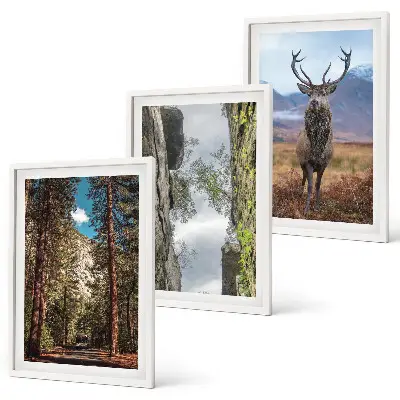 Gerahmtes Bilderset mit Straßen, Wald, Bergen und Hirsch-Motiv