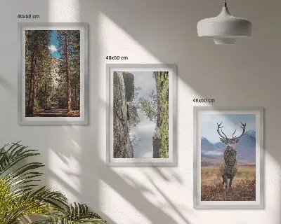Gerahmtes Bilderset mit Straßen, Wald, Bergen und Hirsch-Motiv