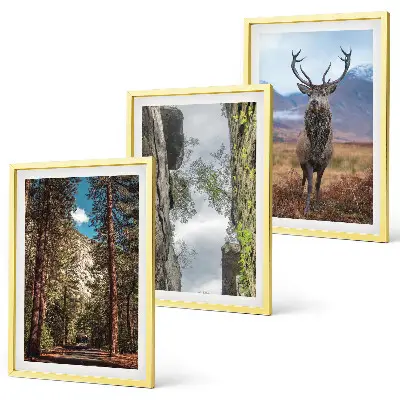Gerahmtes Bilderset mit Straßen, Wald, Bergen und Hirsch-Motiv