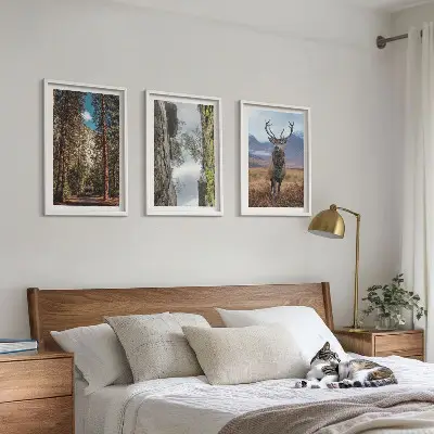 Gerahmtes Bilderset mit Straßen, Wald, Bergen und Hirsch-Motiv
