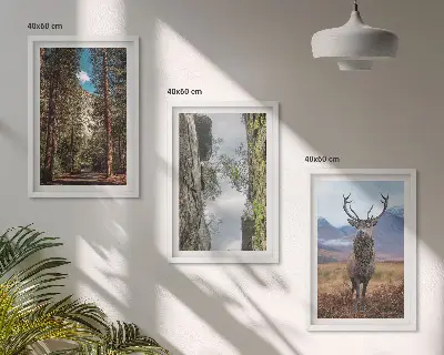 Gerahmtes Bilderset mit Straßen, Wald, Bergen und Hirsch-Motiv