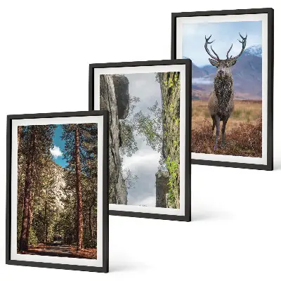 Gerahmtes Bilderset mit Straßen, Wald, Bergen und Hirsch-Motiv