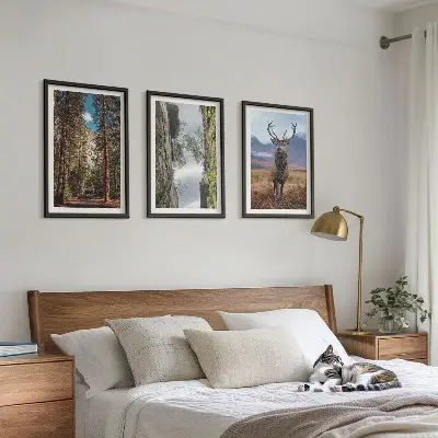 Gerahmtes Bilderset mit Straßen, Wald, Bergen und Hirsch-Motiv