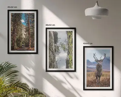 Gerahmtes Bilderset mit Straßen, Wald, Bergen und Hirsch-Motiv