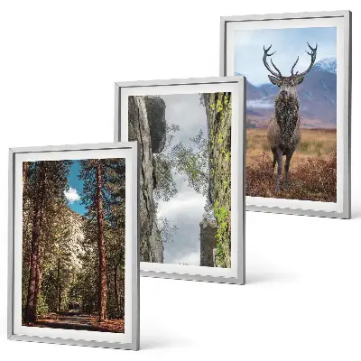 Gerahmtes Bilderset mit Straßen, Wald, Bergen und Hirsch-Motiv