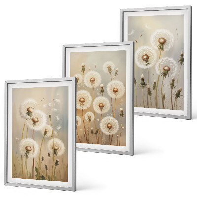 Bilder-3er-set mit rahmen Weiße Löwenzahnblüten auf hellem Hintergrund