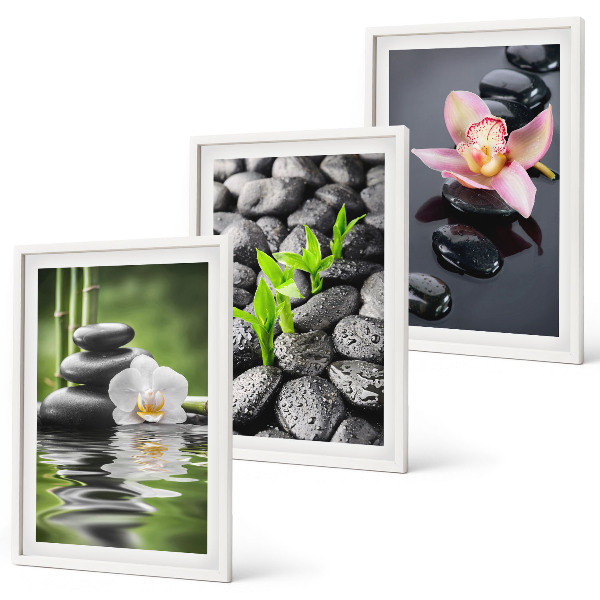 Gerahmtes bilderset Eine ruhige Zen-Komposition aus Blumen und Wasser