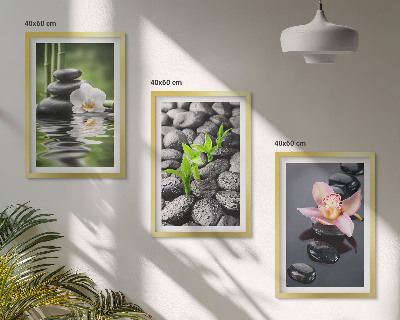 Gerahmtes bilderset Eine ruhige Zen-Komposition aus Blumen und Wasser