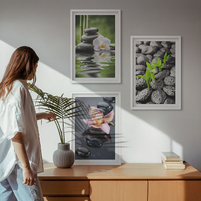 Gerahmtes bilderset Eine ruhige Zen-Komposition aus Blumen und Wasser