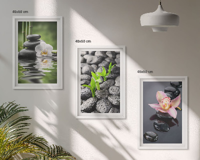 Gerahmtes bilderset Eine ruhige Zen-Komposition aus Blumen und Wasser
