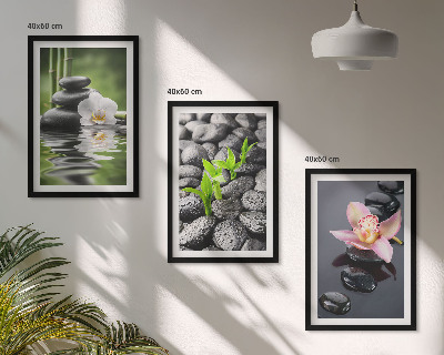 Gerahmtes bilderset Eine ruhige Zen-Komposition aus Blumen und Wasser