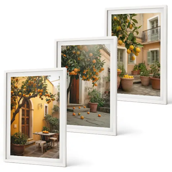 Garten Zitrus Sonne 3er Set Bilder mit Rahmen