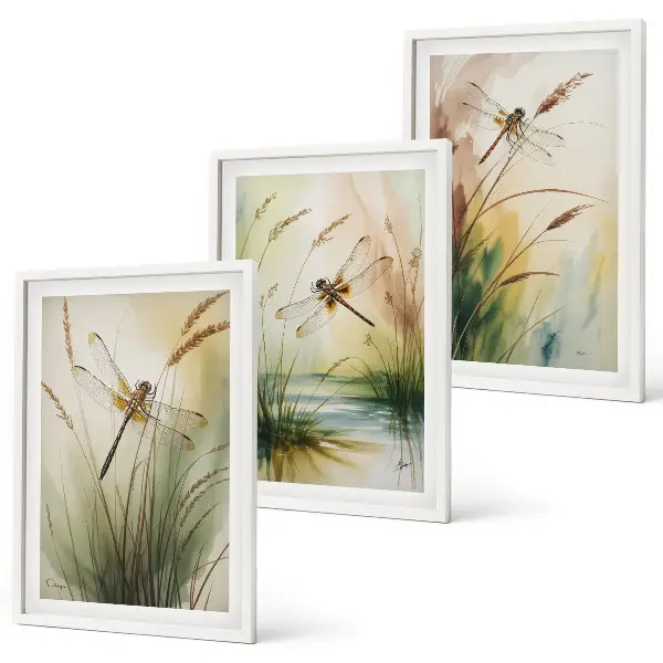 Libellen im Gras Aquarellbild 3er-Set mit Rahmen