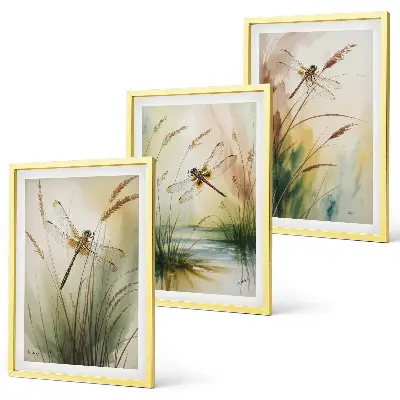 Libellen im Gras Aquarellbild 3er-Set mit Rahmen