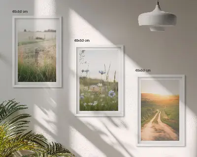3er-Set Wandbilder mit Rahmen: Landschaften Natur Felder Weg 