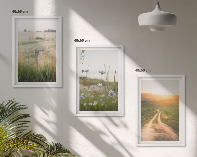 Bilder-3er-set mit rahmen Landschaften Natur Felder Weg
