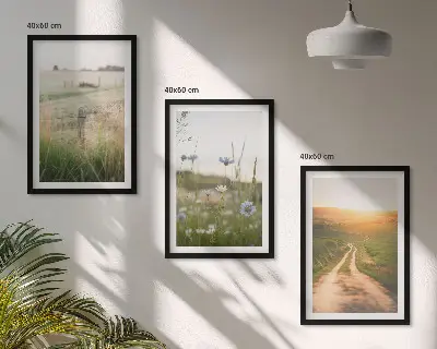 3er-Set Wandbilder mit Rahmen: Landschaften Natur Felder Weg 