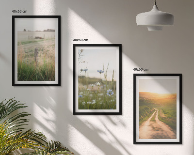 Bilder-3er-set mit rahmen Landschaften Natur Felder Weg